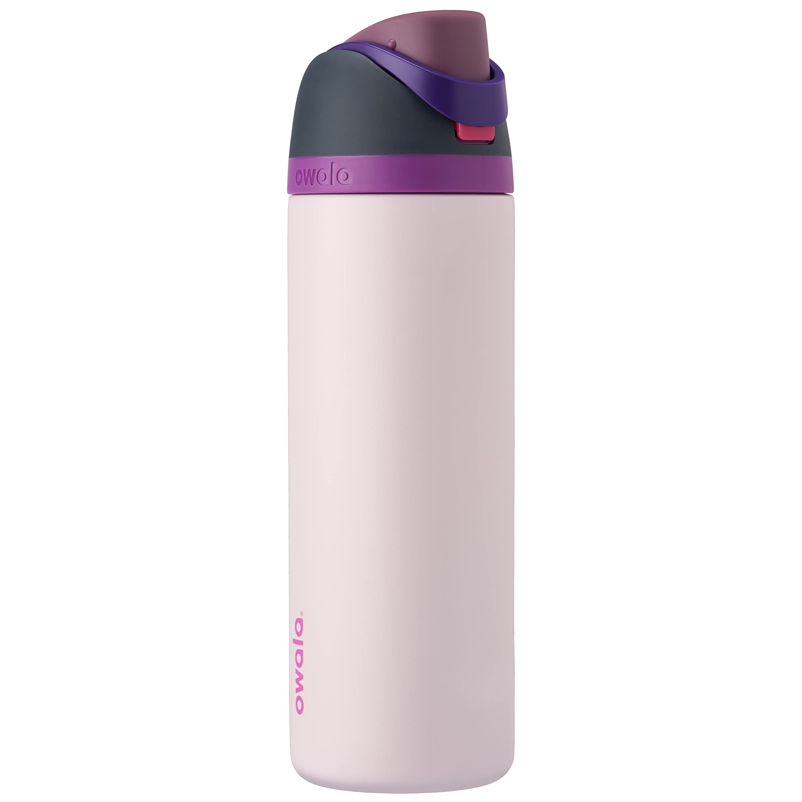 Owala FreeSip Insulated Stainless Steel Water Bottle with Straw for Sports, Travel, and School BPA-Free Sports Water Bottle, 32 oz, Boneyard (Pack of 6)