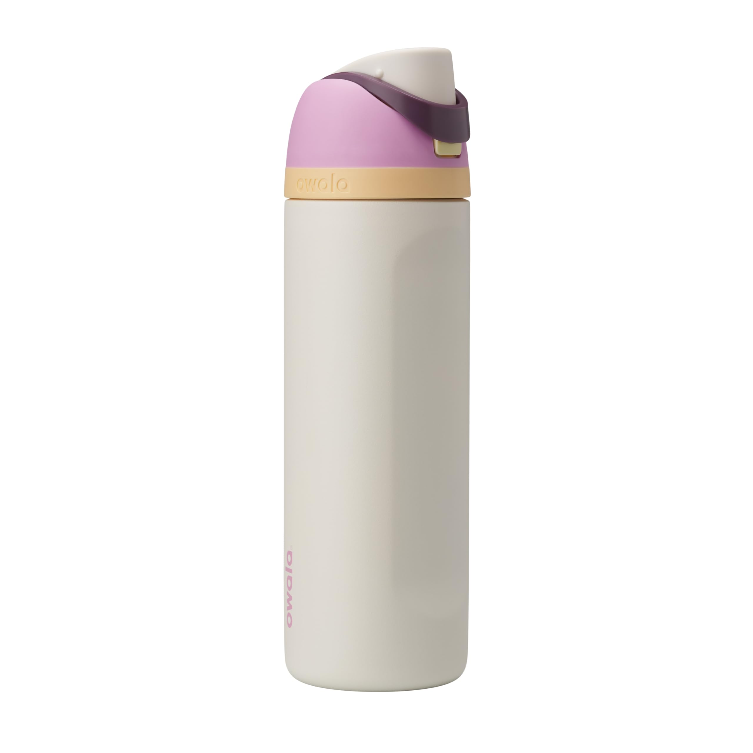 Owala FreeSip Insulated Stainless Steel Water Bottle with Straw for Sports, Travel, and School BPA-Free Sports Water Bottle, 32 oz, Boneyard (Pack of 6)