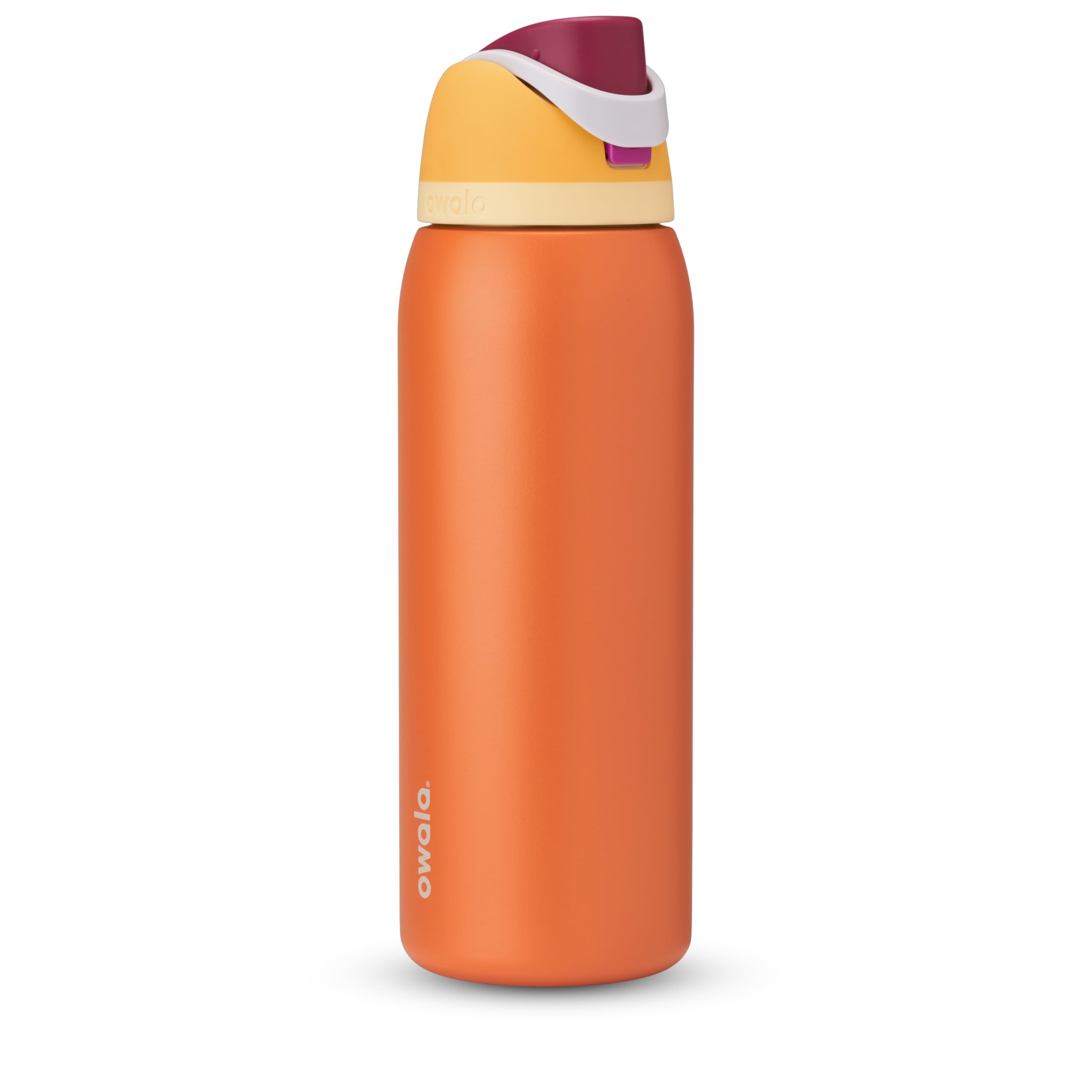 Owala FreeSip Insulated Stainless Steel Water Bottle with Straw for Sports, Travel, and School BPA-Free Sports Water Bottle, 32 oz, Boneyard (Pack of 6)